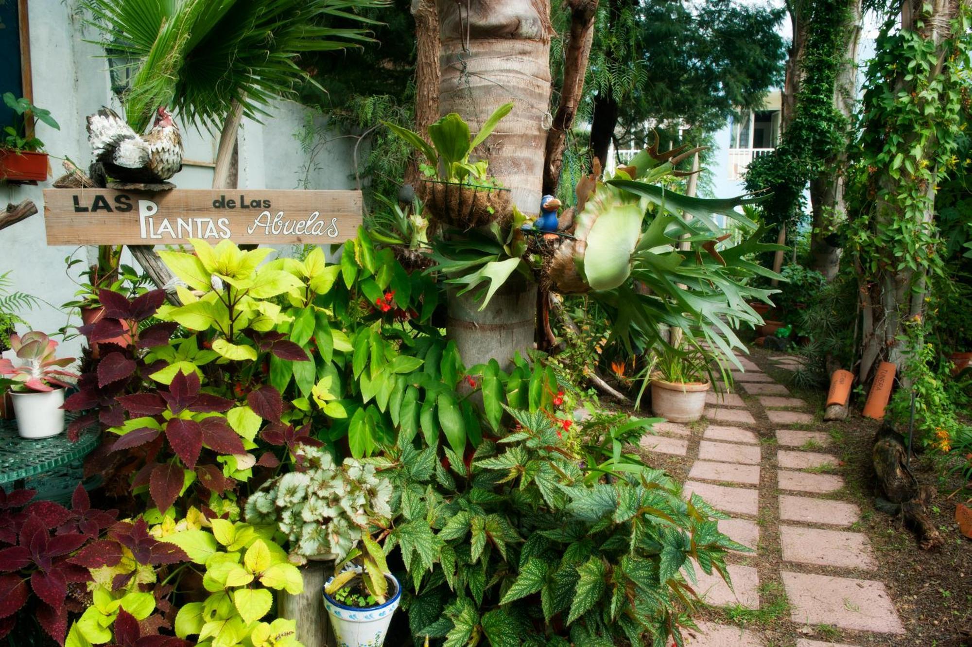 Apartamentos Adjovimar Los Llanos De Aridane Exterior photo