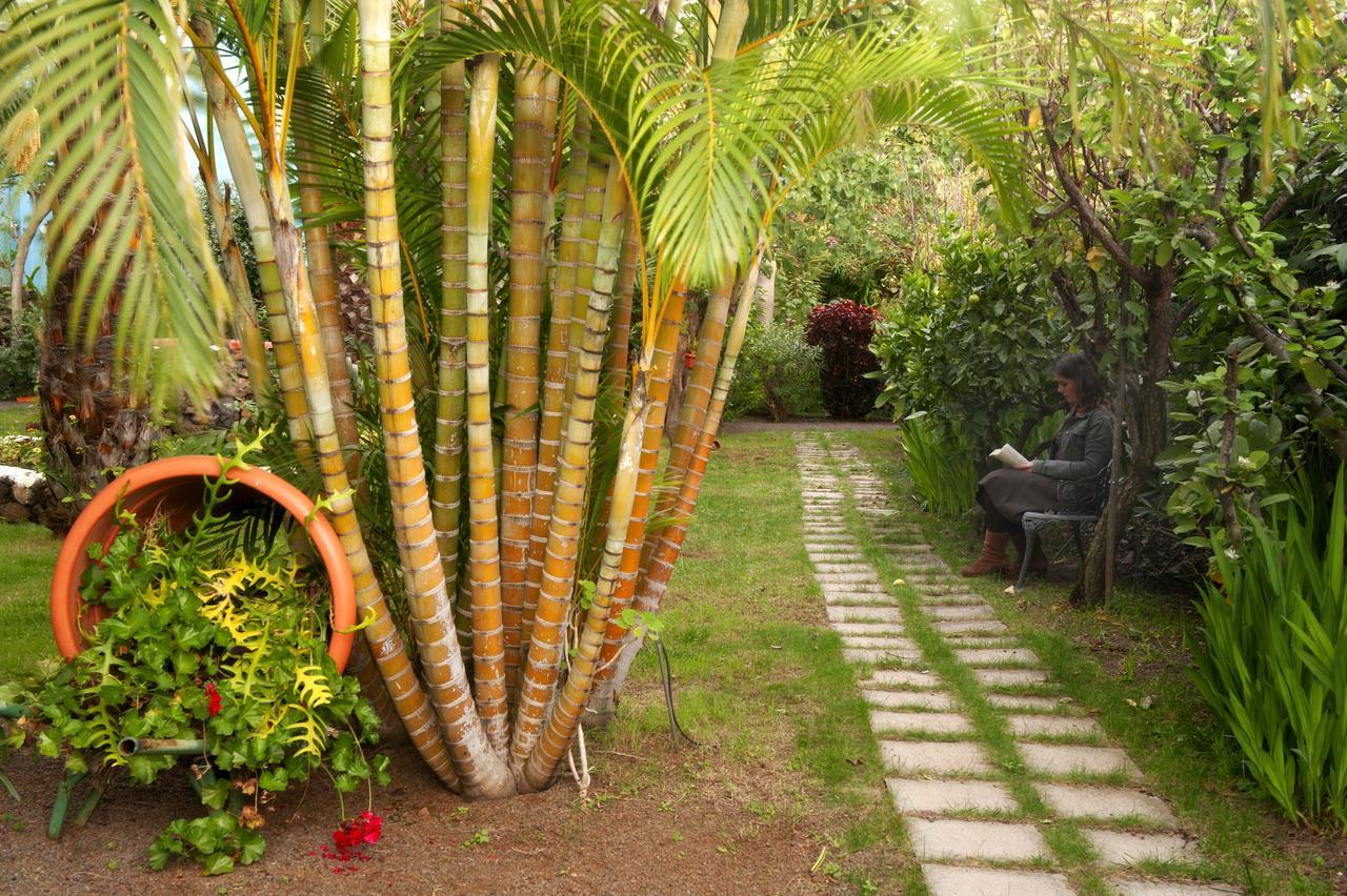 Apartamentos Adjovimar Los Llanos De Aridane Exterior photo